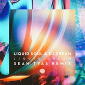 Liquid Dream (Sean Tyas Remix) artwork