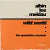 Wild World (The Quarantine Sessions) - Single album lyrics, reviews, download