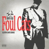 Foul Cats (DJ Supa Dave Remix) artwork