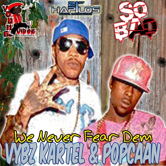 Cover artwork for We Never Fear Dem
