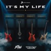 It's My Life - Single