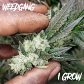 WEEDGANG - I Grow