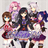 SELECTION