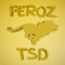 FEROZ - TSD lyrics
