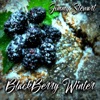 BlackBerry Winter - EP