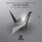 Black Bird (Kenan Savrun Remix) artwork