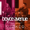 Boyce Avenue - Sucker