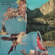 Meadows artwork