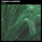 Saif - Trone Clooper lyrics