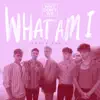 What Am I (SONDR Remix) - Single album lyrics, reviews, download