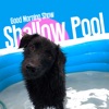 Shallow Pool - EP