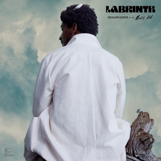 Cover artwork for Imagination
