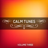 Calm Tunes, Vol. 03