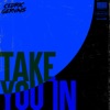 Cedric Gervais - Take You In