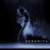 Señorita - Piano Cover artwork