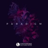 Steyoyoke Paradigm, V*l. 02