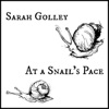 At a Snail's Pace - Single