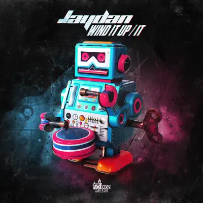 Wind It Up / It - Single - Jaydan