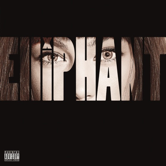Cover artwork for In the Jungle