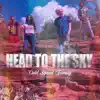 Head to the Sky (feat. Vee) song lyrics