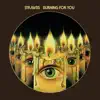 Burning For You (Expanded & Remastered) album lyrics, reviews, download