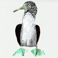 Cosmo Sheldrake - Galápagos (Original Series Soundtrack) artwork