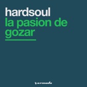 La Pasion De Gozar artwork