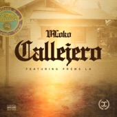 Callejero (feat. Prems LA) artwork
