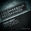 Arkham Knights - Xposed