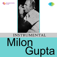 Milon Gupta - Instrumental Milon Gupta artwork