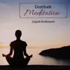 Stream & download Gratitude Meditation