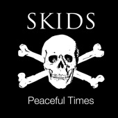 Skids - Into the Valley