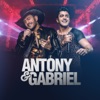 Antony e Gabriel (Ao Vivo) - Single, 2019