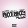 Not Nice! (Remix) [feat. Pink Sweat$ & Devvon Terrell] - Single album lyrics, reviews, download