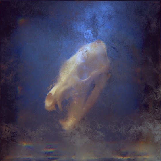 Cover artwork for Dark Skies