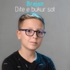 Dite E Bukur Sot - Single