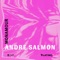 Monamour (feat. Lola Pink) - Andre Salmon & Jose Wated lyrics