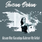 Akşam Olur Karanlığa Kalırsın (Oy Gelin) artwork