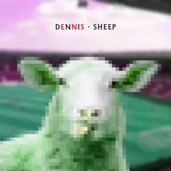 Sheep - Single - Dennis Sheep - Single - Dennis