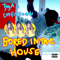 Tyga & Curtis Roach - Bored in the House artwork