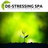 De-Stressing Spa - Ultimate Nature Healing Sounds artwork
