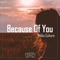 Because of You - Nikko Culture lyrics