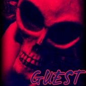 Guest (Experience) artwork