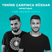 Tenine Çarpınca Rüzgar (Can Sezgin Remix) artwork