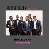 Halleluyah Twakushaba artwork