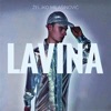 Željko Milašinović - Lavina