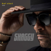 Hot Shot 2020  cover