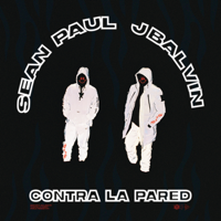 Sean Paul & J Balvin - Contra la Pared artwork