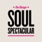 Don't Be Afraid of Love (feat. Daniel Kyri) - The Chicago Soul Spectacular lyrics