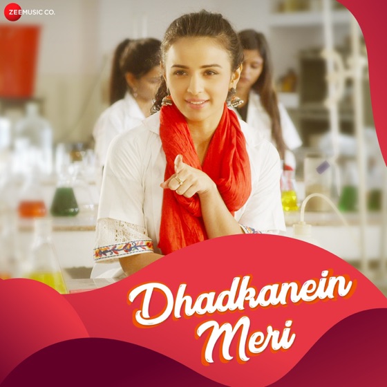 Cover artwork for Dhadkanein Meri